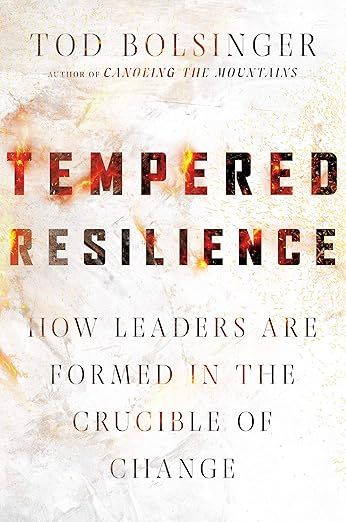The cover of Tempered Resilience: How Leaders Are Formed in the Crucible of Change Here